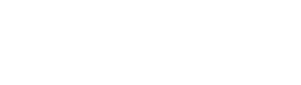 Evolution Group